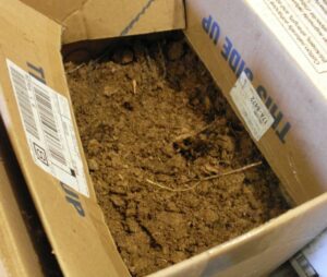 amazon customer return fraud box of dirt